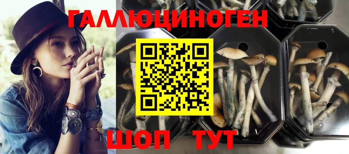 Псилоцибиновые грибы прущие грибы  Вход с VPN  Галлюциногенные грибы GOLDEN TEACHER  Новоуральск 